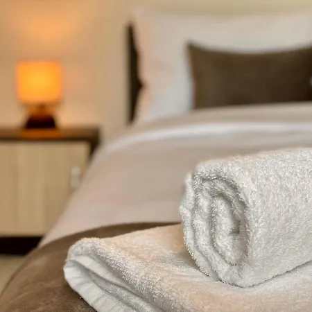 Cozy & Modern 1br For 4 Guests Next To Medical & Free Parking Apartment *